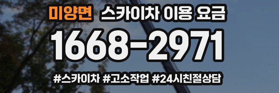 미양면 스카이차 이용 요금