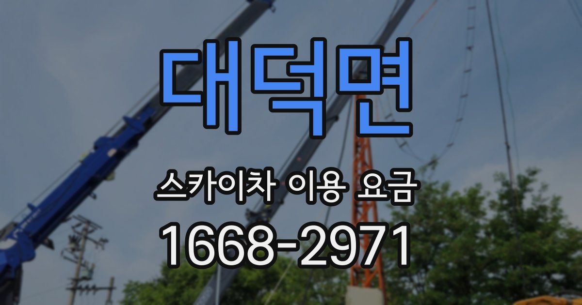 대덕면 스카이차 이용 요금