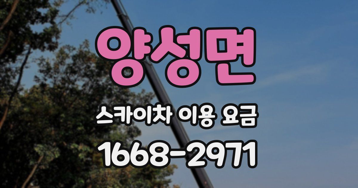 양성면 스카이차 이용 요금