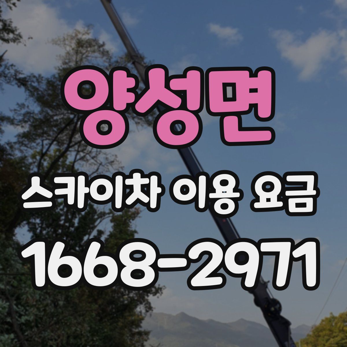 양성면 스카이차 이용 요금