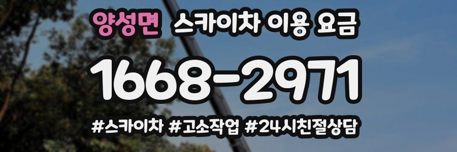 양성면 스카이차 이용 요금