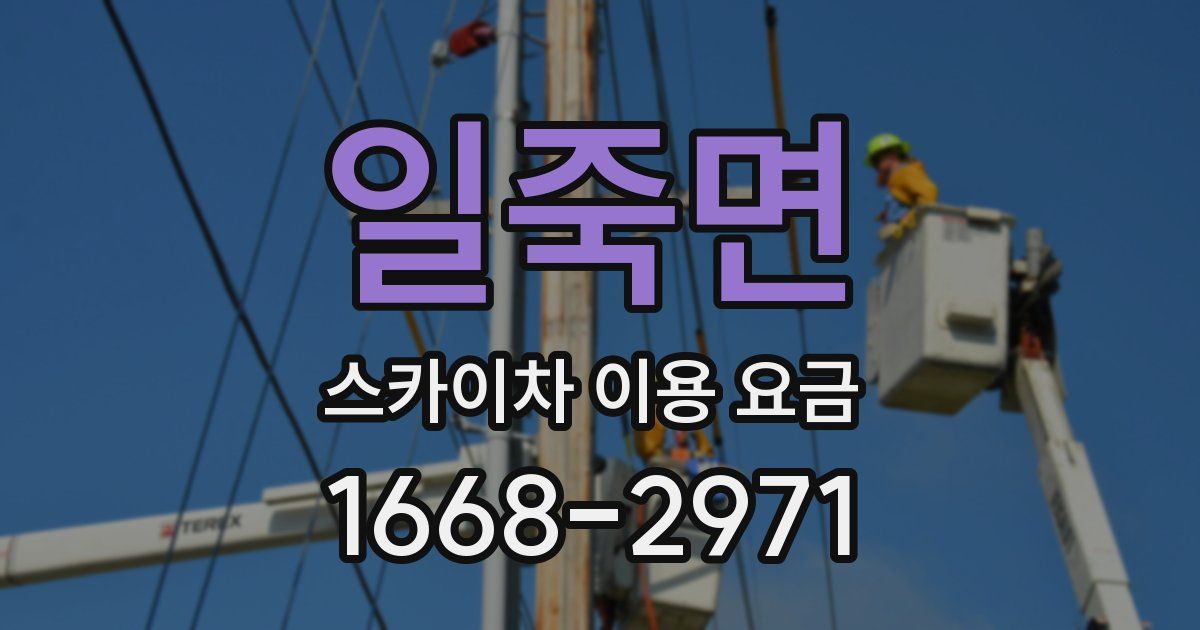 일죽면 스카이차 이용 요금