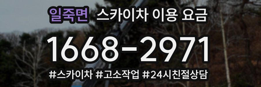 일죽면 스카이차 이용 요금