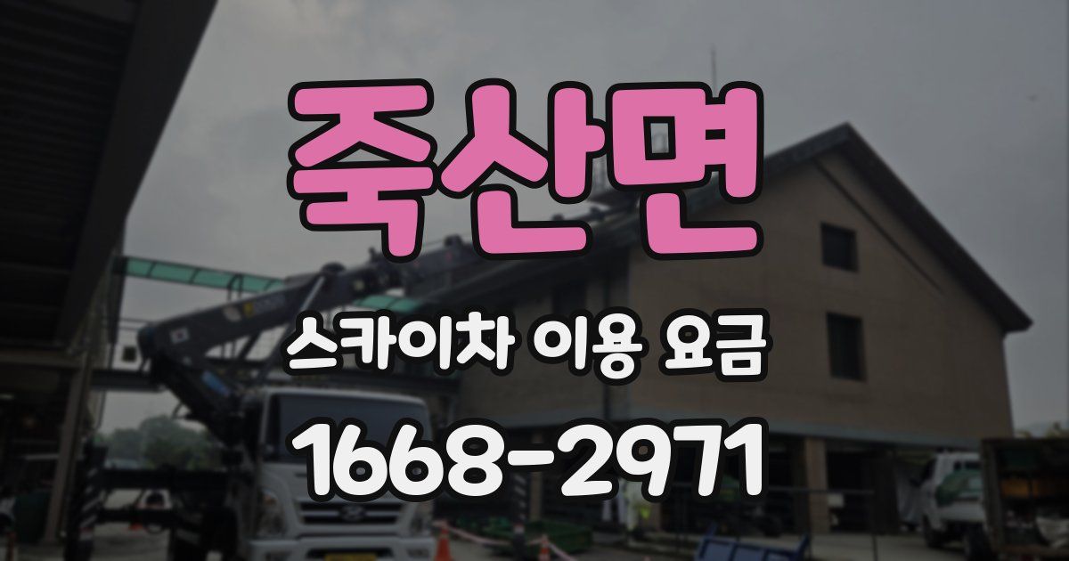 죽산면 스카이차 이용 요금