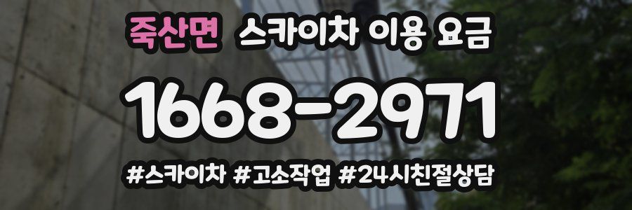 죽산면 스카이차 이용 요금