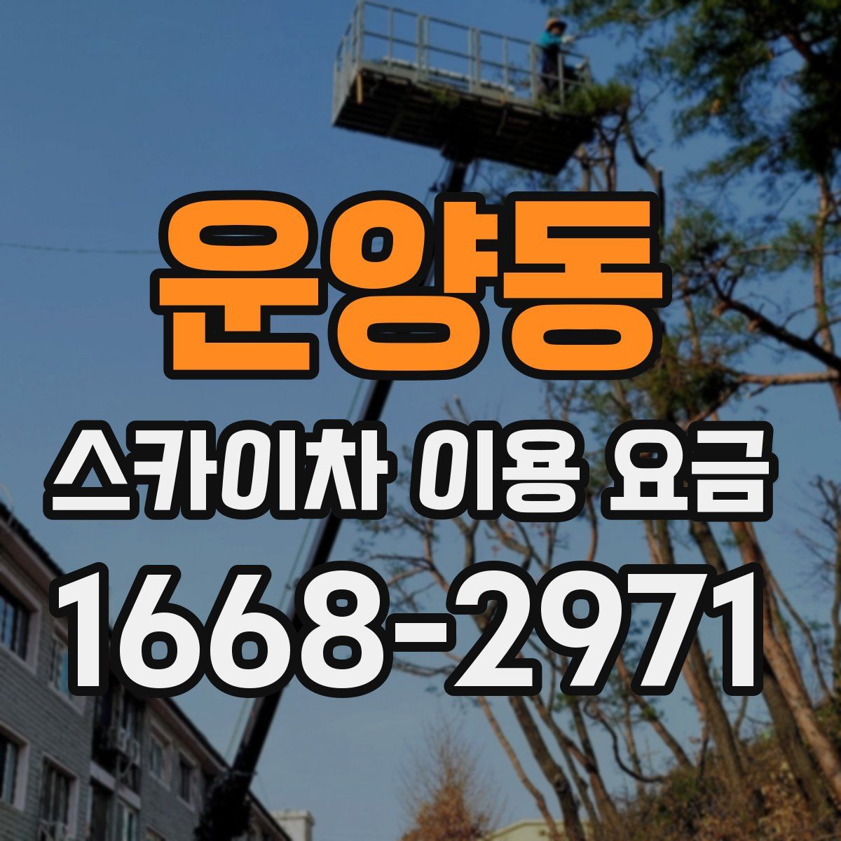 운양동 스카이차 이용 요금