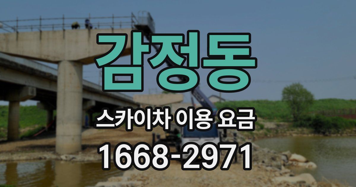 감정동 스카이차 이용 요금