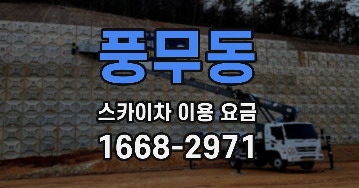 풍무동 스카이차 이용 요금