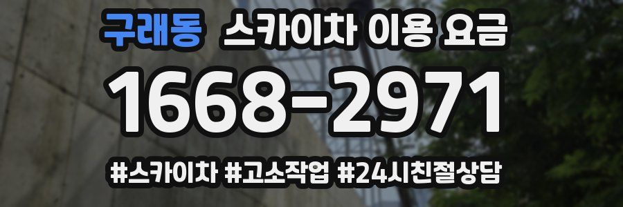 구래동 스카이차 이용 요금