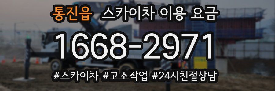통진읍 스카이차 이용 요금