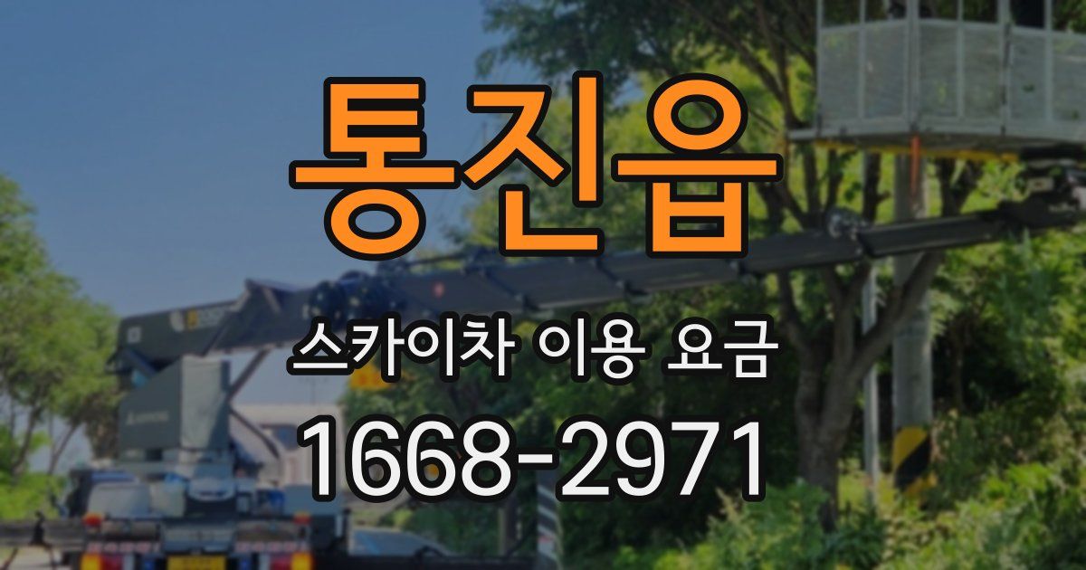 통진읍 스카이차 이용 요금