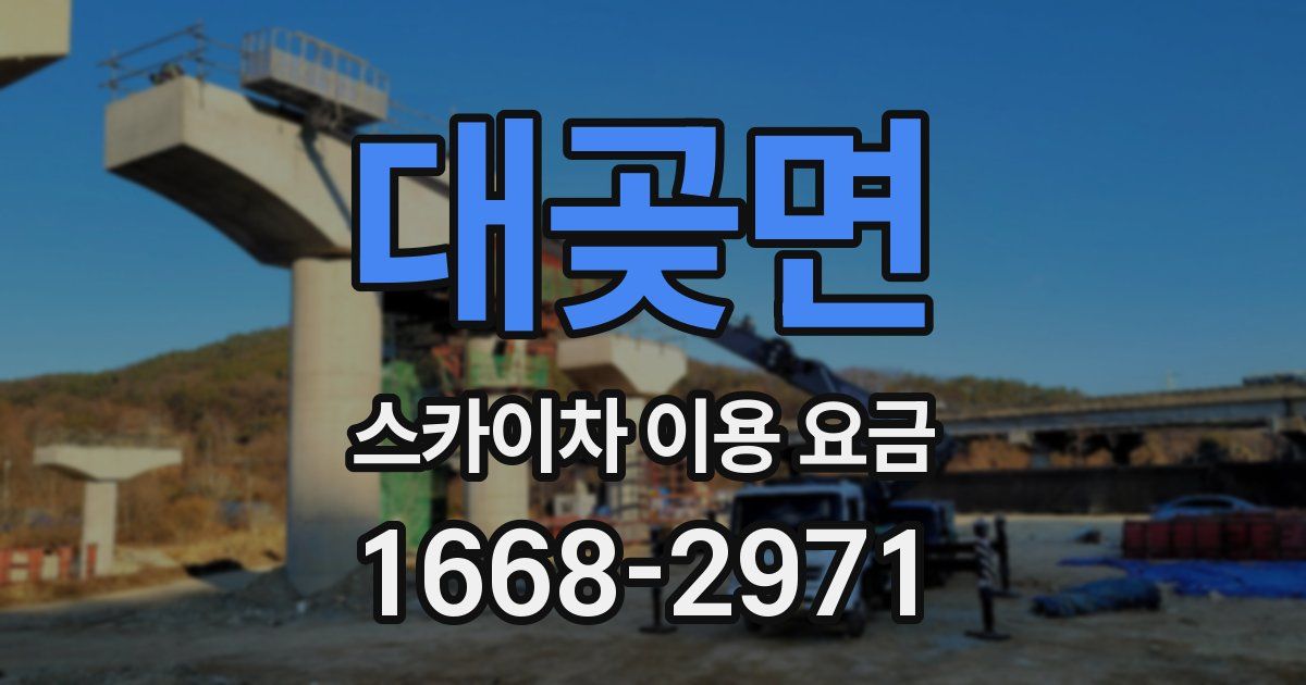 대곶면 스카이차 이용 요금