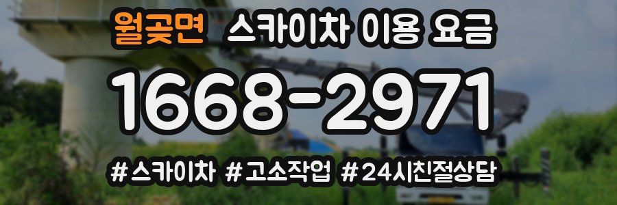 월곶면 스카이차 이용 요금
