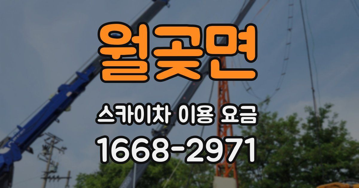 월곶면 스카이차 이용 요금