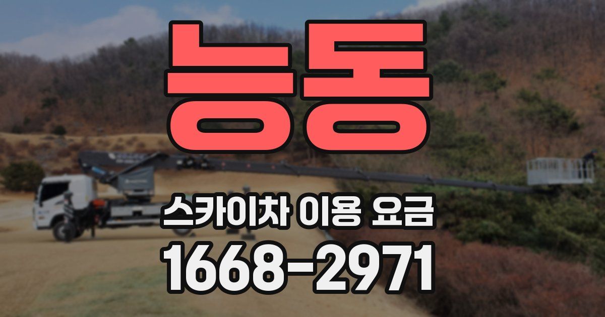 능동 스카이차 이용 요금