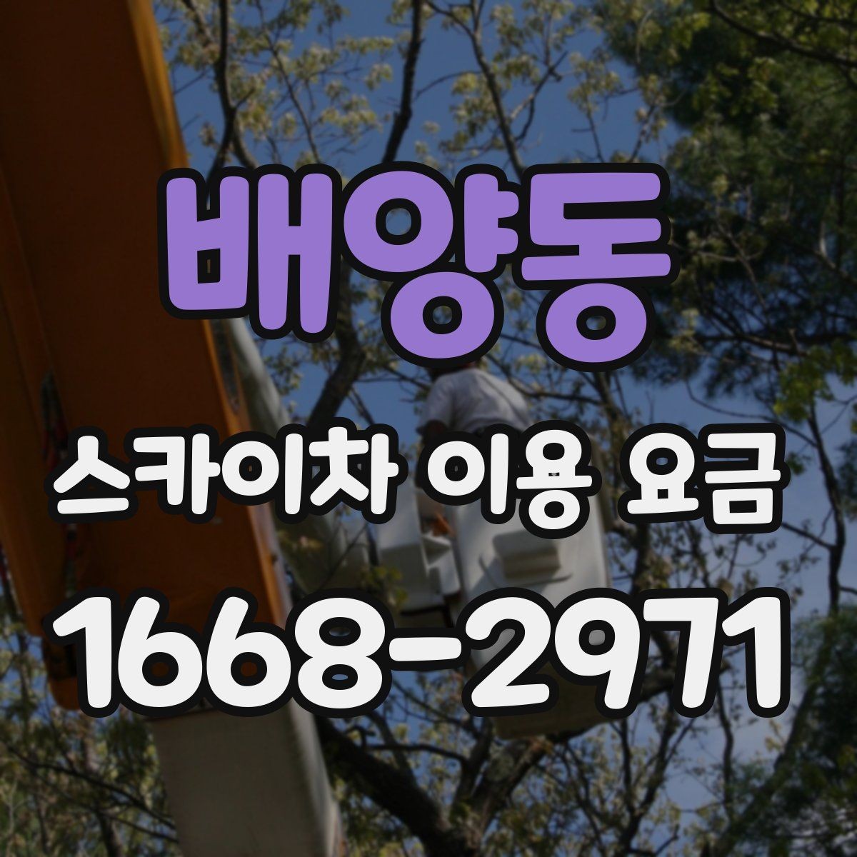 배양동 스카이차 이용 요금 알아볼 때 업체 선정 포인트