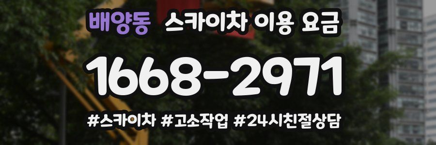 배양동 스카이차 이용 요금