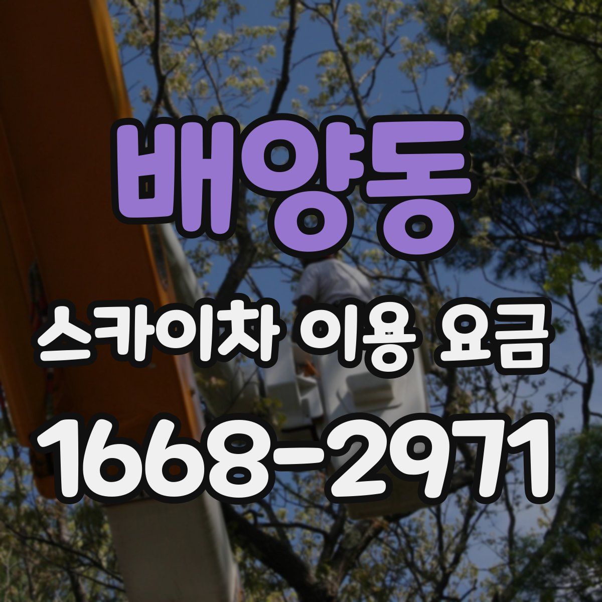 배양동 스카이차 이용 요금