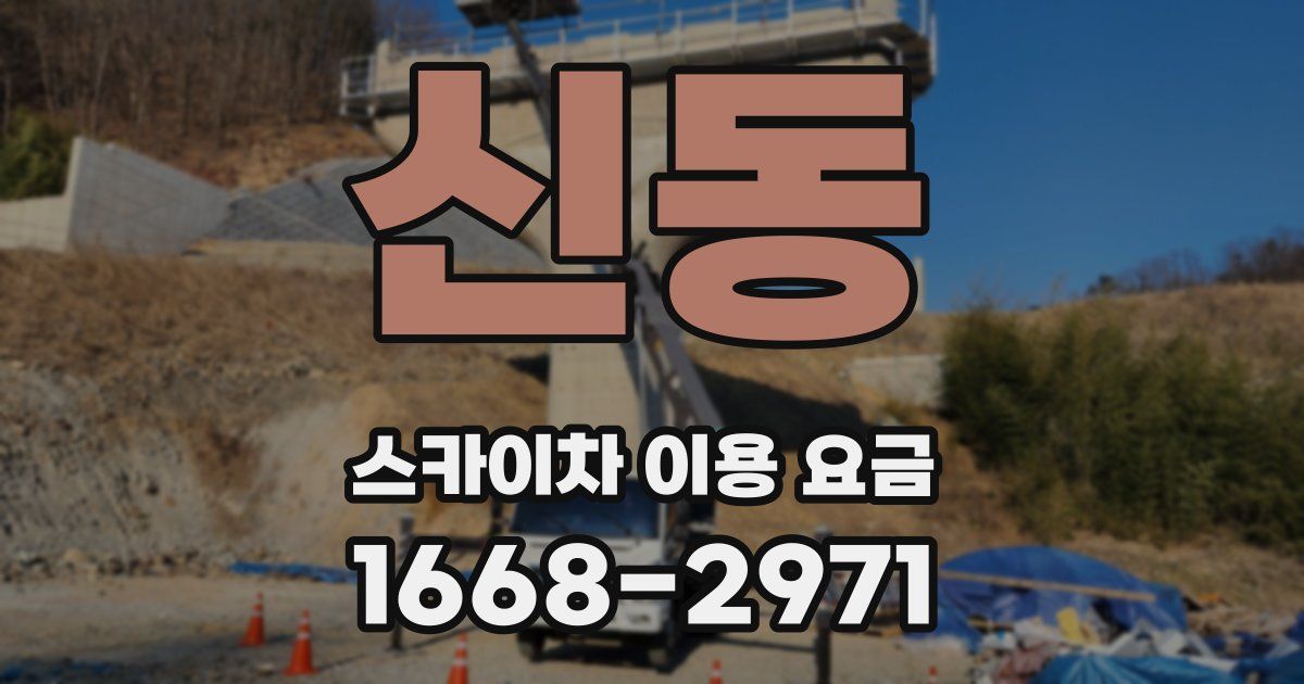 신동 스카이차 이용 요금