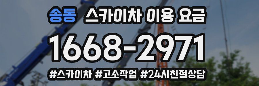 송동 스카이차 이용 요금