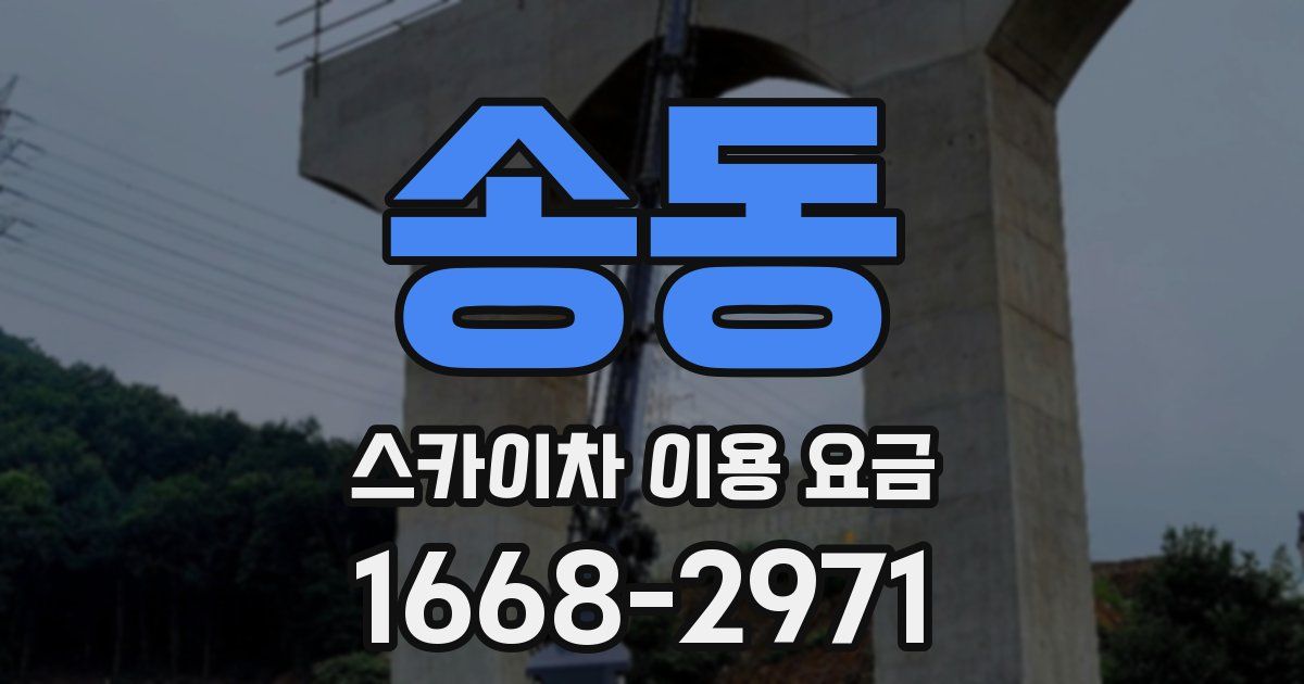 송동 스카이차 이용 요금