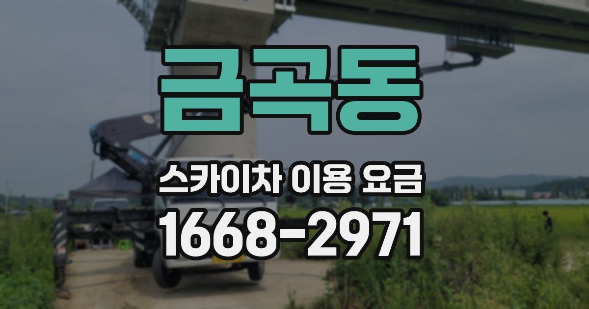 금곡동 스카이차 이용 요금