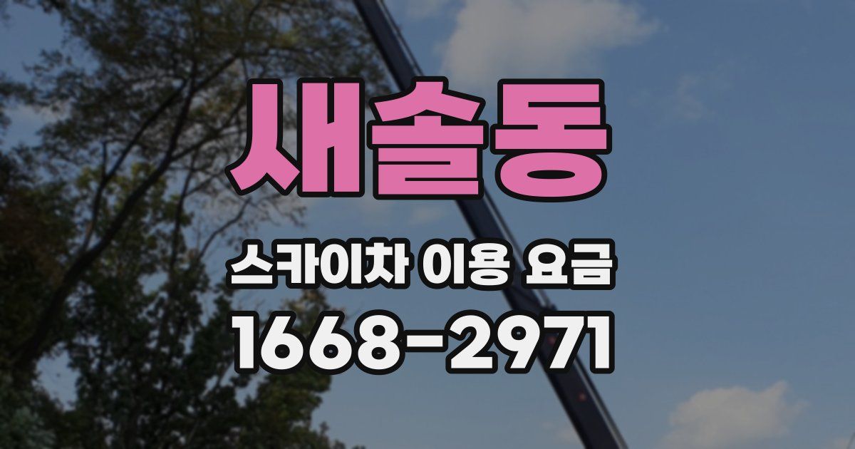 새솔동 스카이차 이용 요금