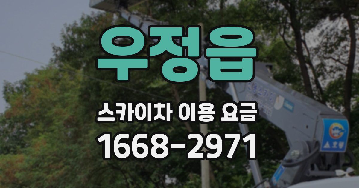 우정읍 스카이차 이용 요금