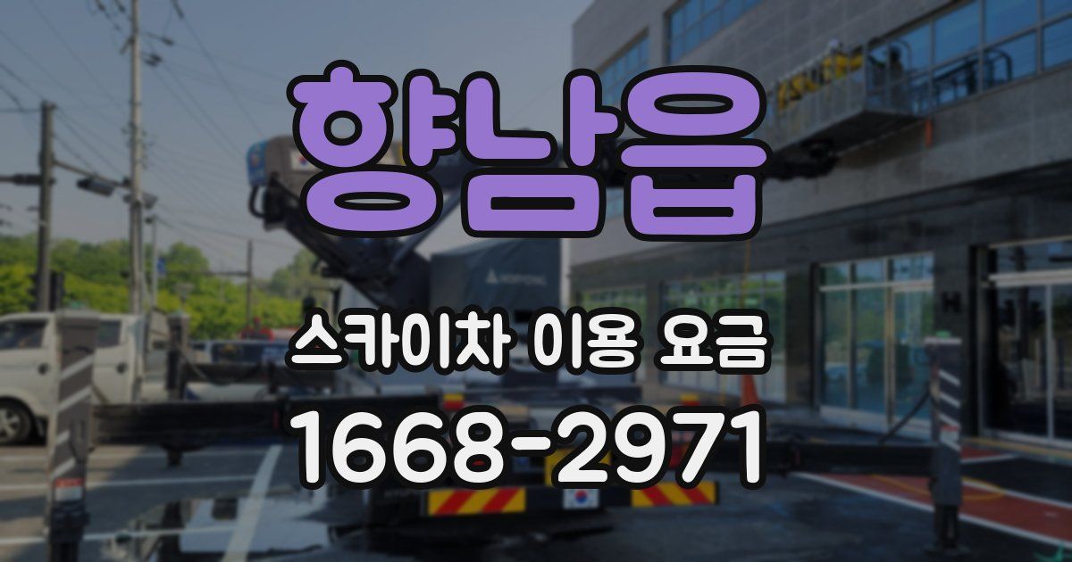 향남읍 스카이차 이용 요금