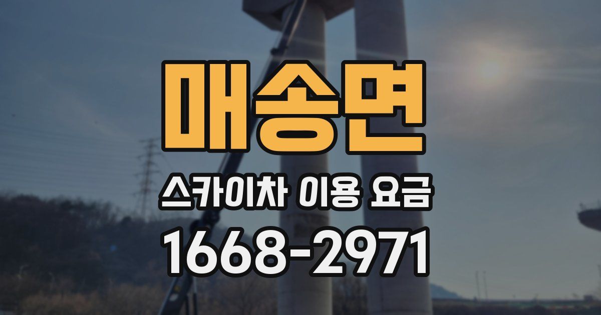 매송면 스카이차 이용 요금