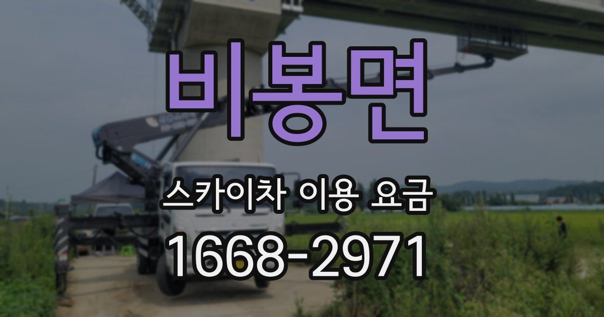비봉면 스카이차 이용 요금