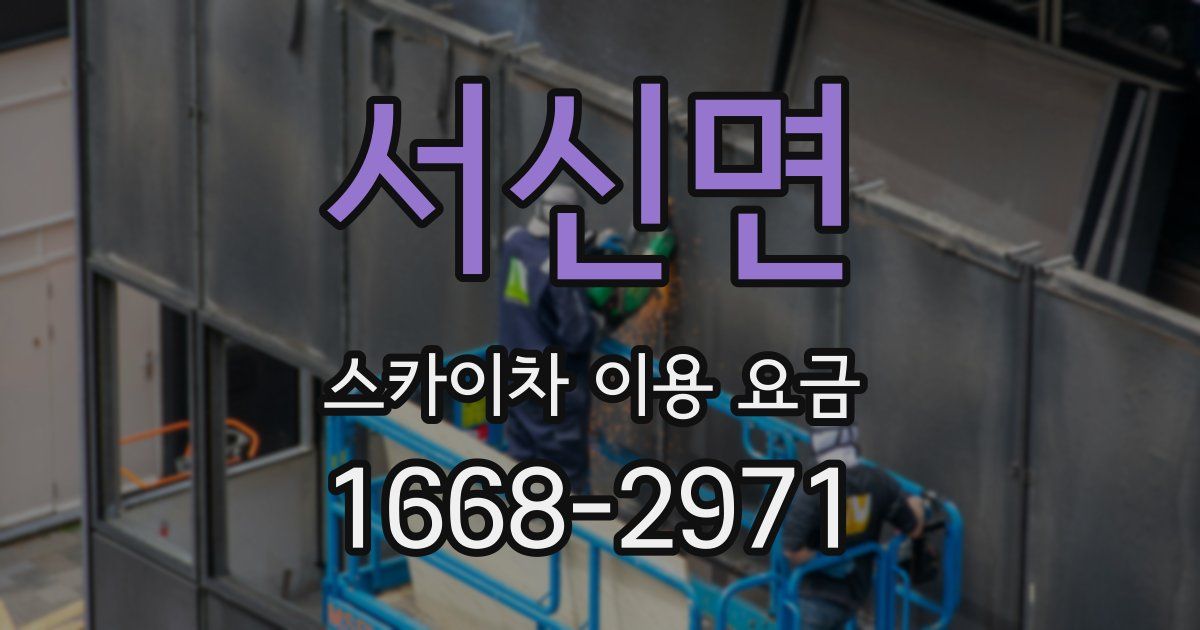 서신면 스카이차 이용 요금