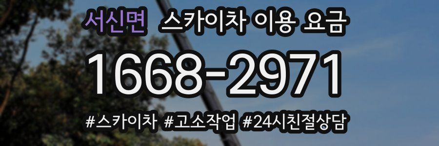 서신면 스카이차 이용 요금