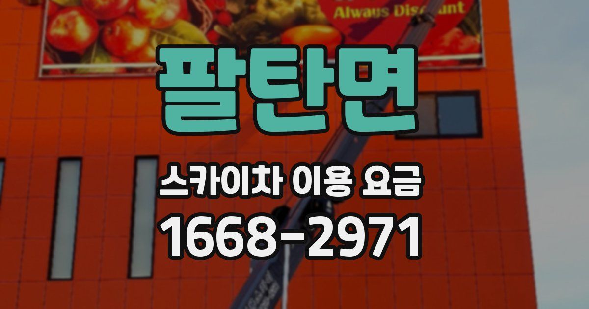 팔탄면 스카이차 이용 요금