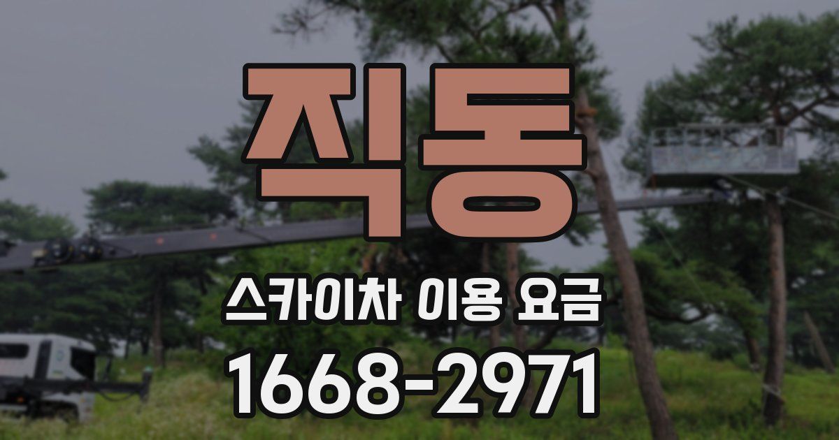 직동 스카이차 이용 요금