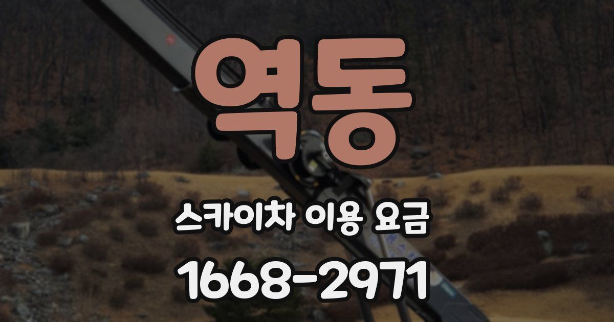 역동 스카이차 이용 요금
