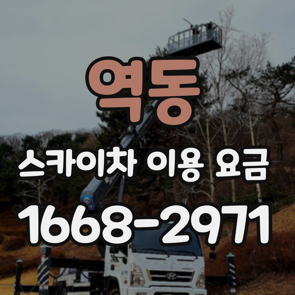 역동 스카이차 이용 요금