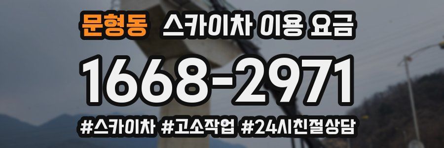 문형동 스카이차 이용 요금