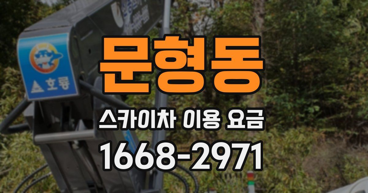 문형동 스카이차 이용 요금