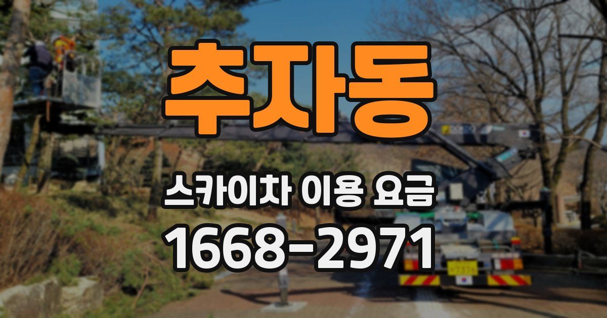 추자동 스카이차 이용 요금