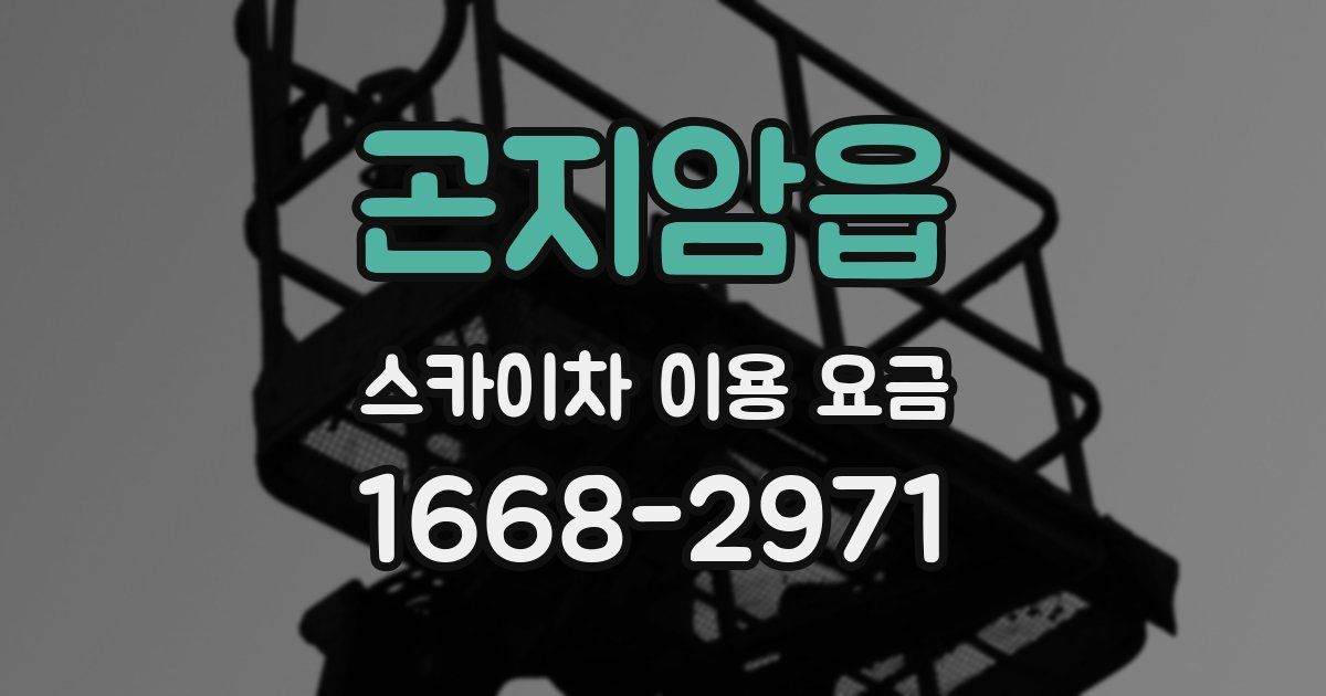 곤지암읍 스카이차 이용 요금
