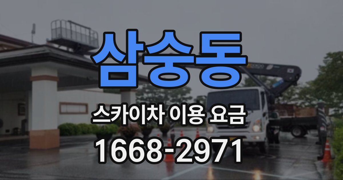 삼숭동 스카이차 이용 요금
