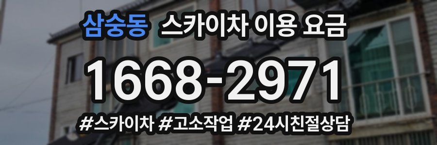 삼숭동 스카이차 이용 요금