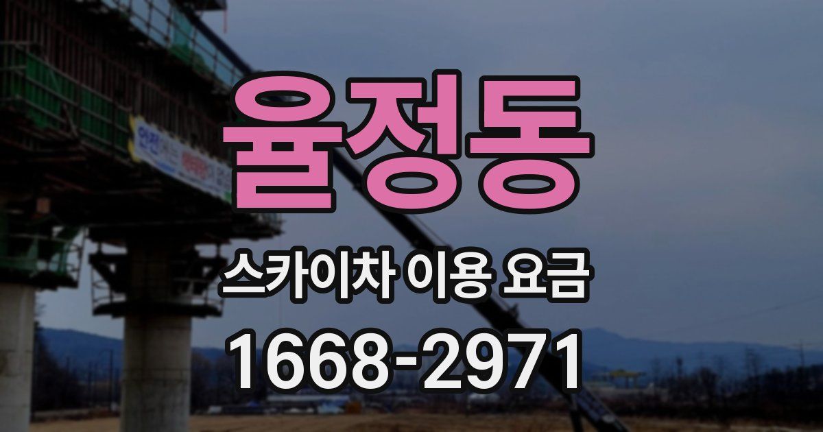 율정동 스카이차 이용 요금