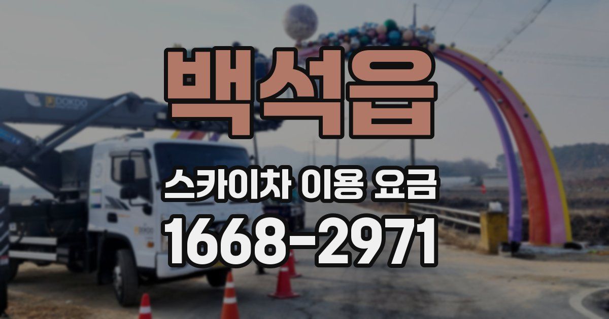 백석읍 스카이차 이용 요금