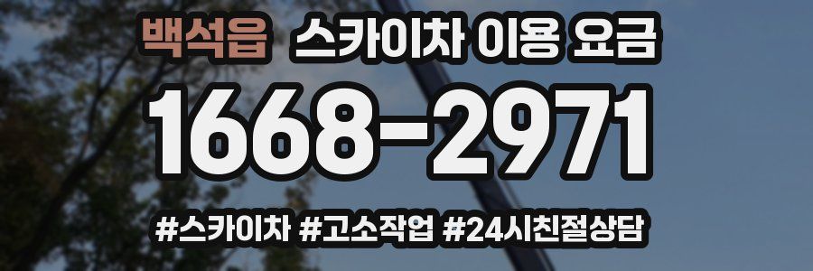 백석읍 스카이차 이용 요금