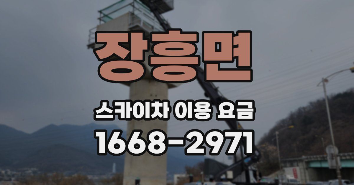 장흥면 스카이차 이용 요금