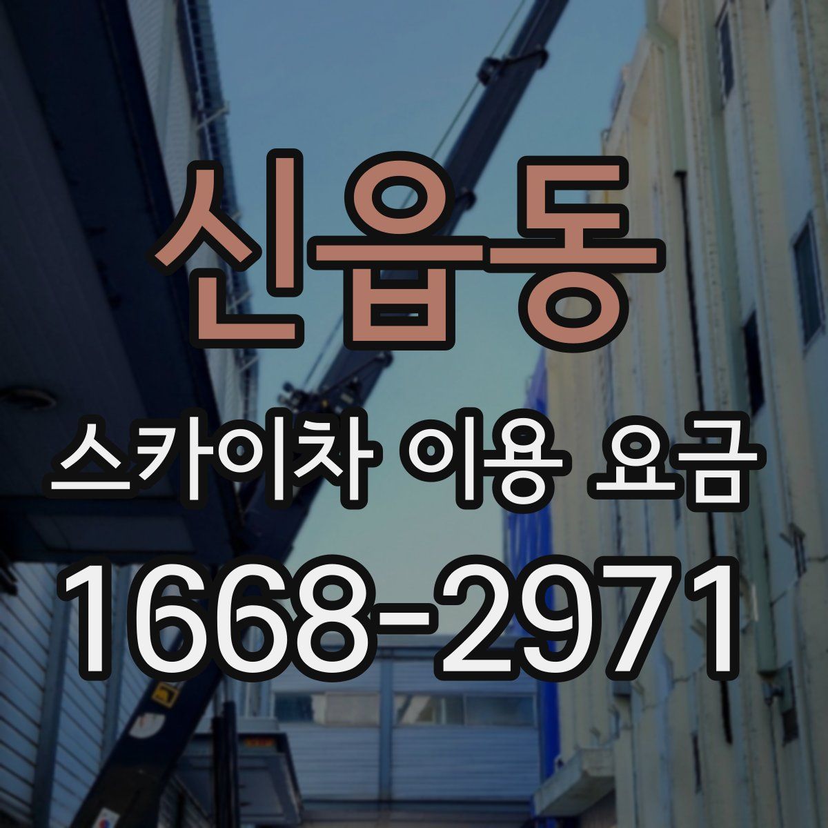 신읍동 스카이차 이용 요금