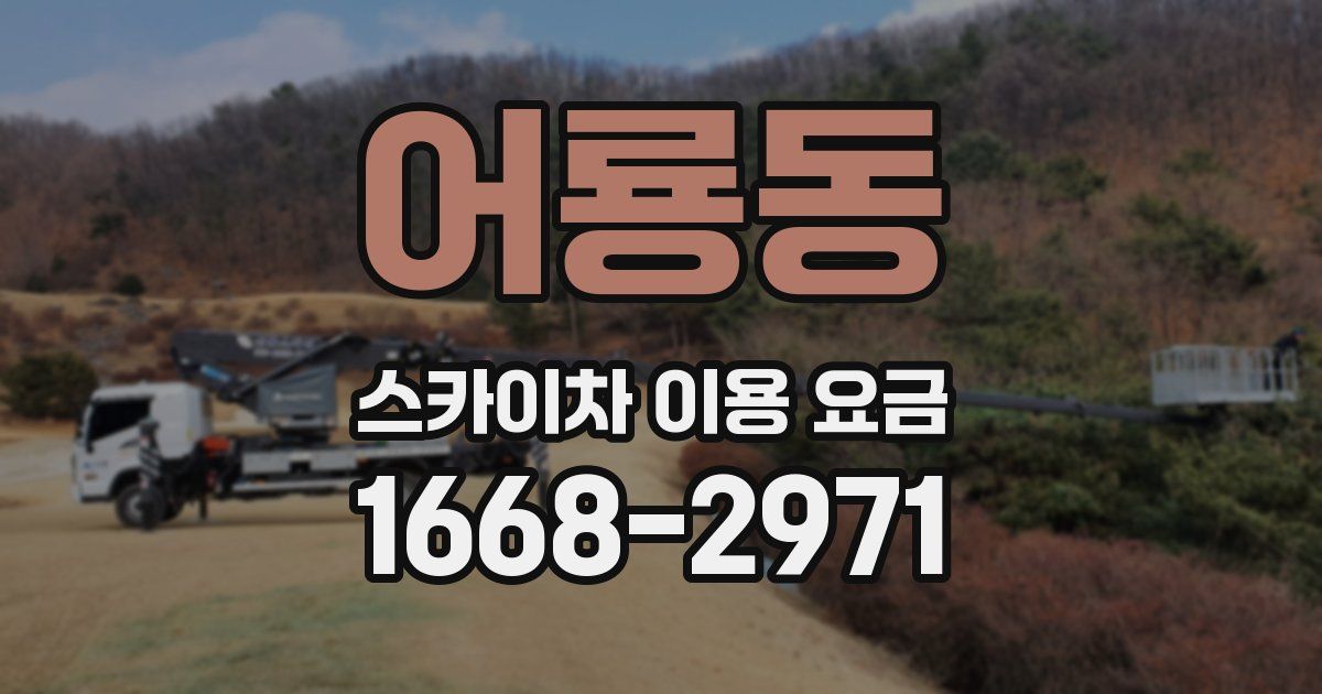 어룡동 스카이차 이용 요금