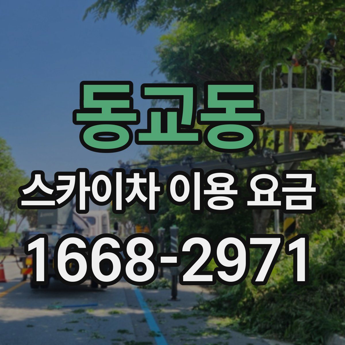 동교동 스카이차 이용 요금